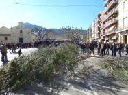 01-plantada-pi-Sant-Antoni-big