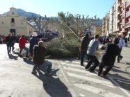 02-plantada-pi-Sant-Antoni-big