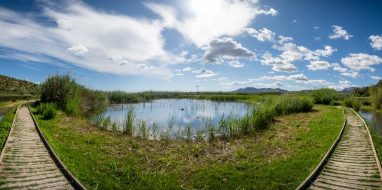 _CAU7247-Pano