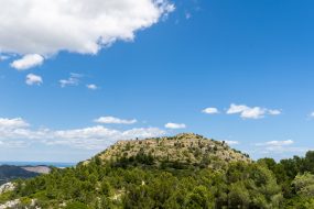 _CAU7419